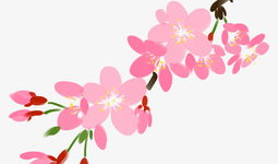 樱花动漫大全,漫享青春，邂逅梦幻动漫世界